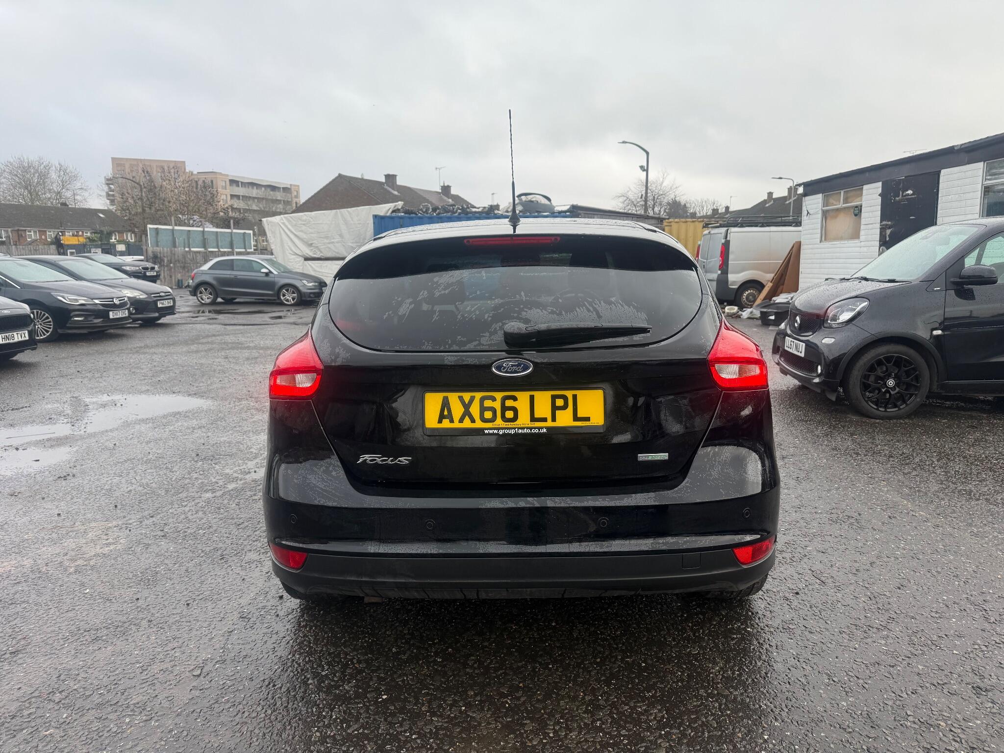 Rear